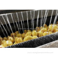 Complete potato processing machinery